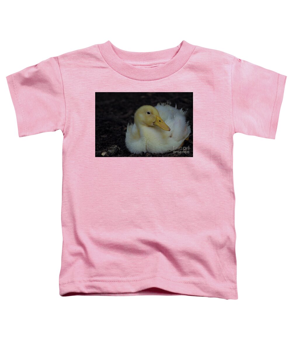 Bird Toddler T-Shirt featuring the photograph Cutie by Donna Brown