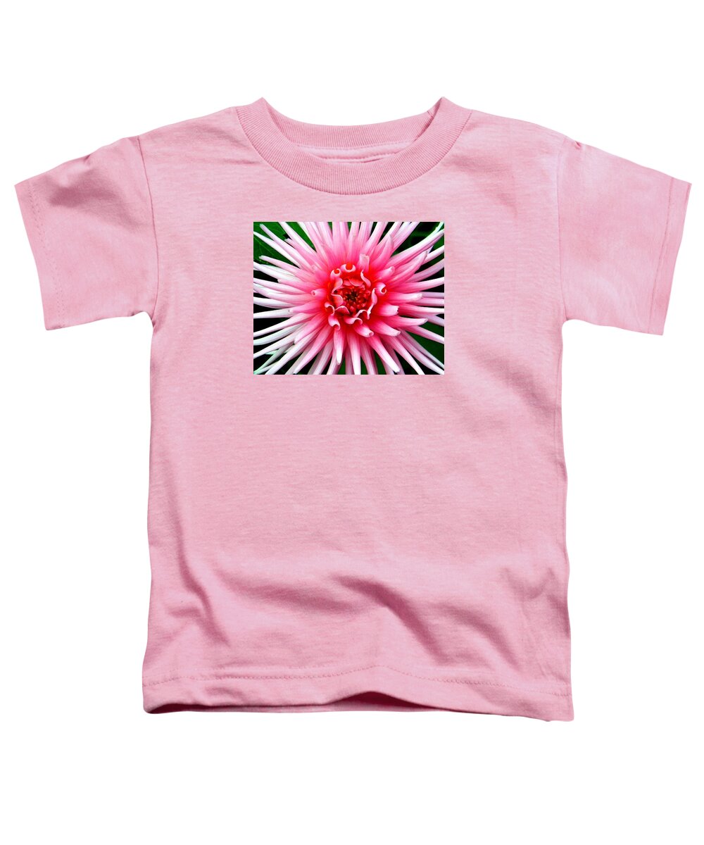 Color Flower Toddler T-Shirt featuring the photograph Dahlia On Black by Michael Ramsey