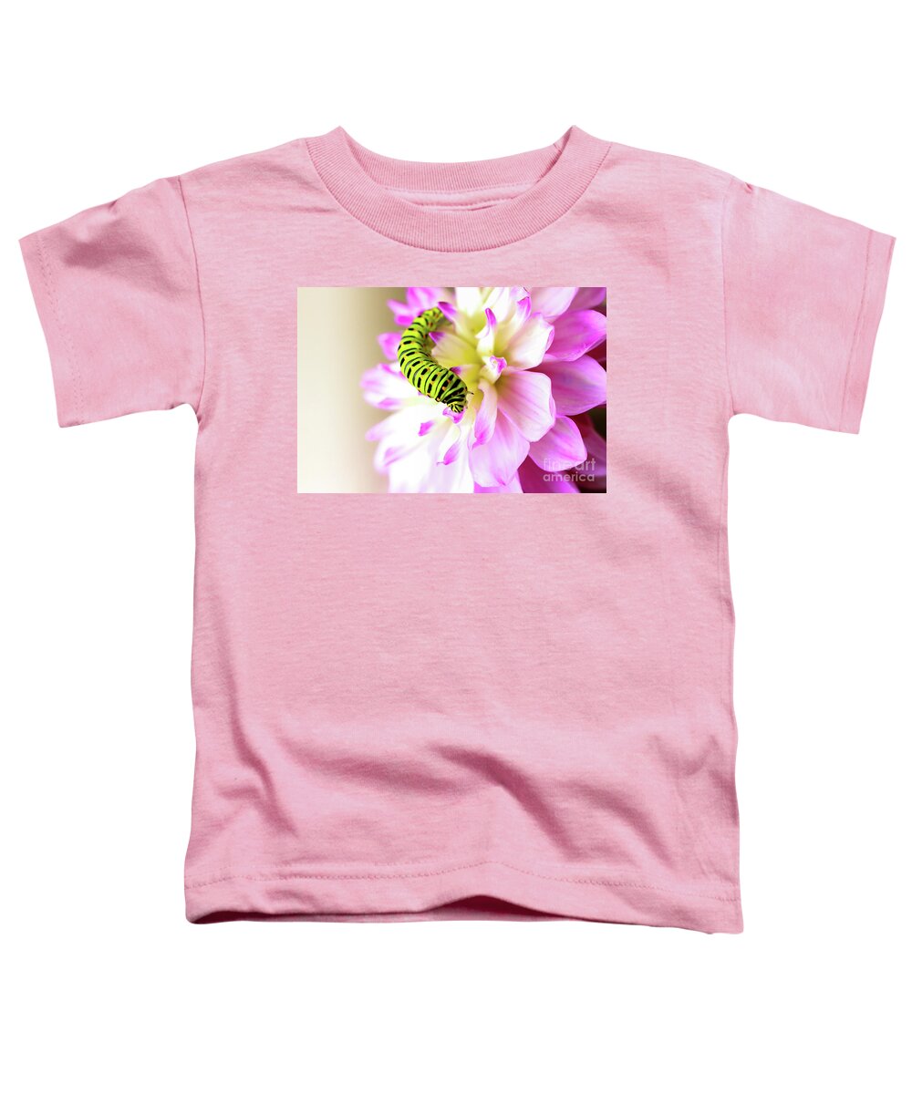 Dahlia Toddler T-Shirt featuring the photograph Dahlia with Caterpillar by Amanda Mohler