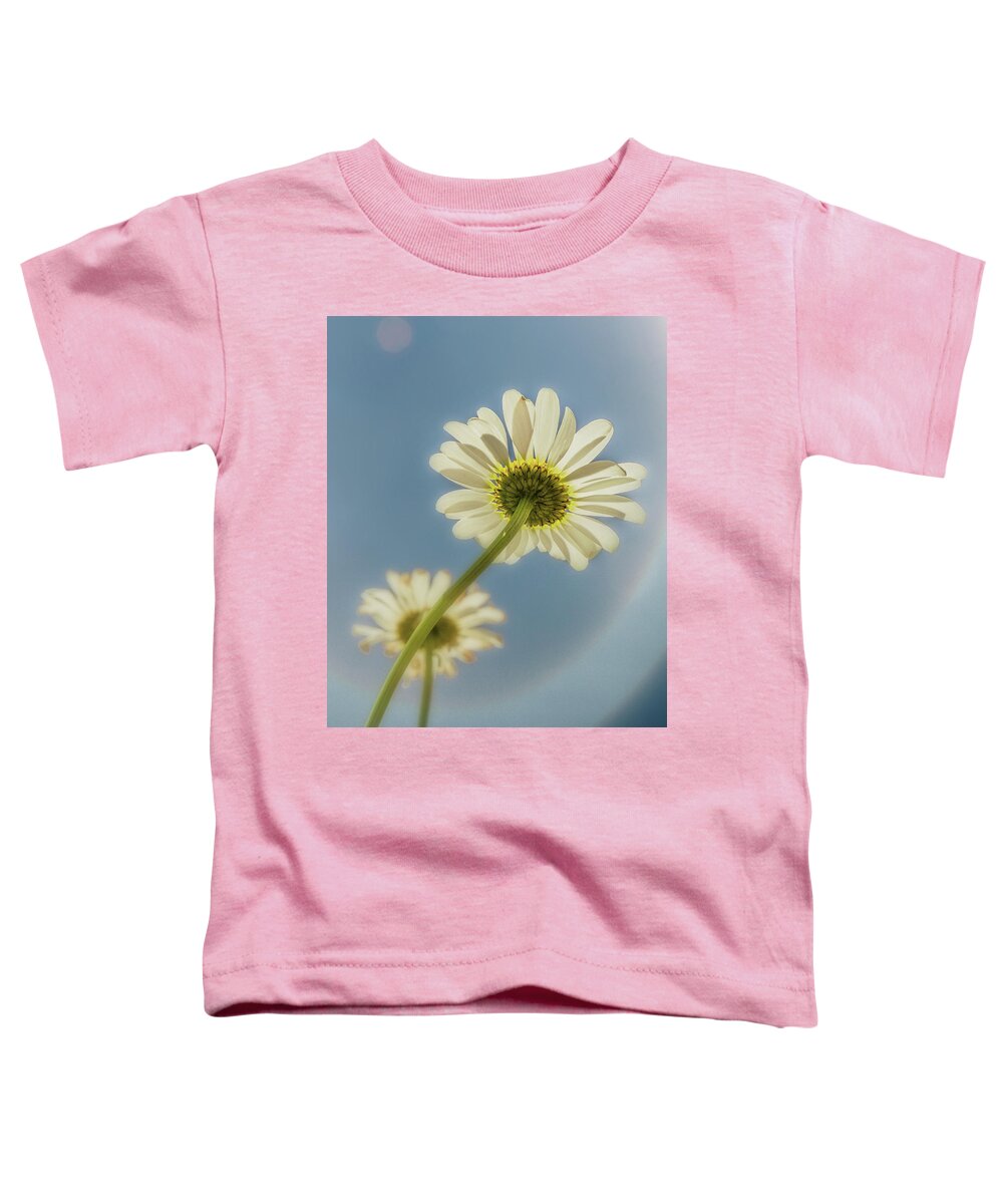 Flower Toddler T-Shirt featuring the photograph Daisys Watching the Sun by Garry McMichael