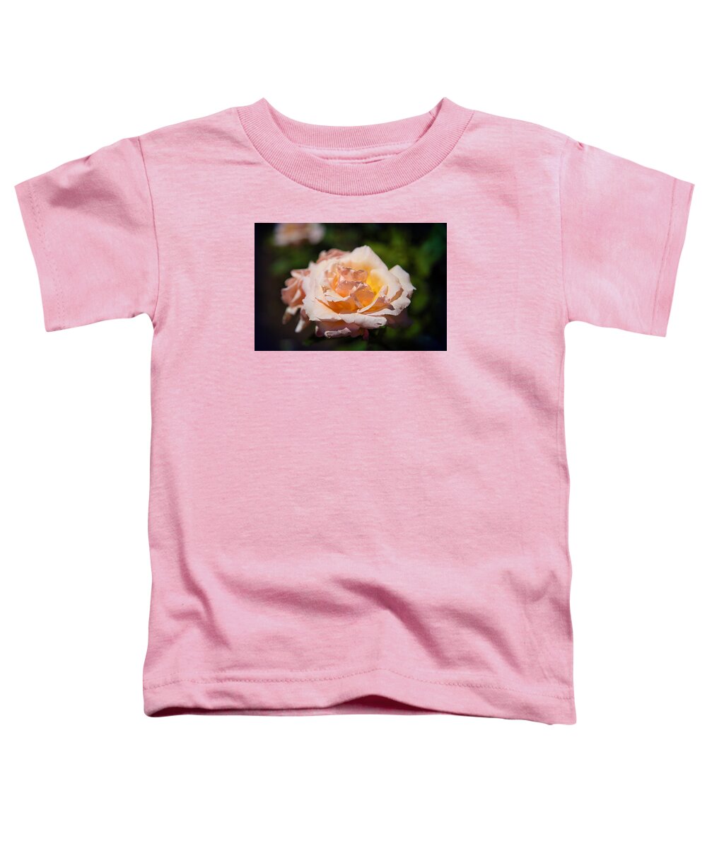 Rose Toddler T-Shirt featuring the photograph Delicate Rose by Milena Ilieva