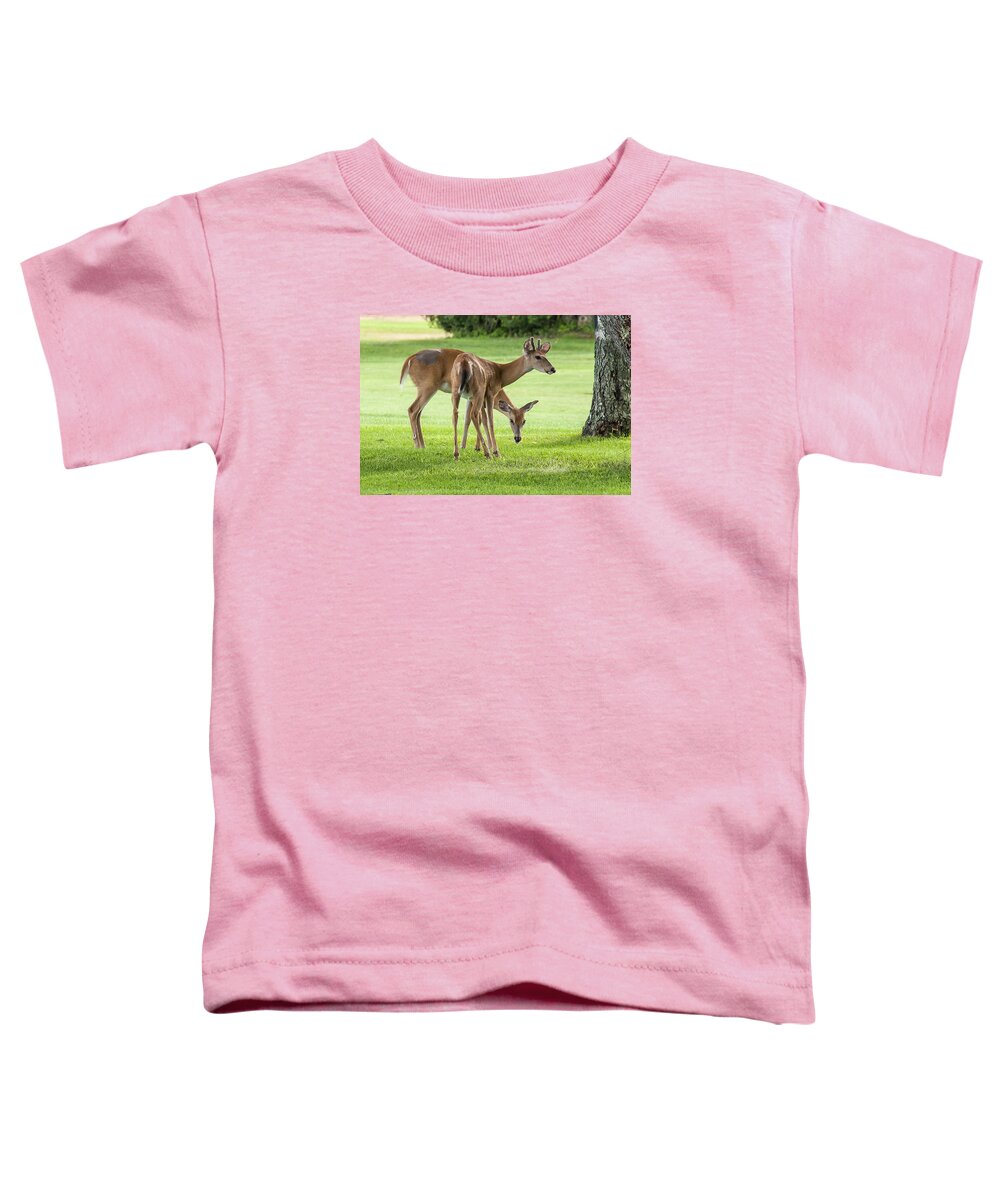 Deer Toddler T-Shirt featuring the photograph Double Deer by Cathy Kovarik