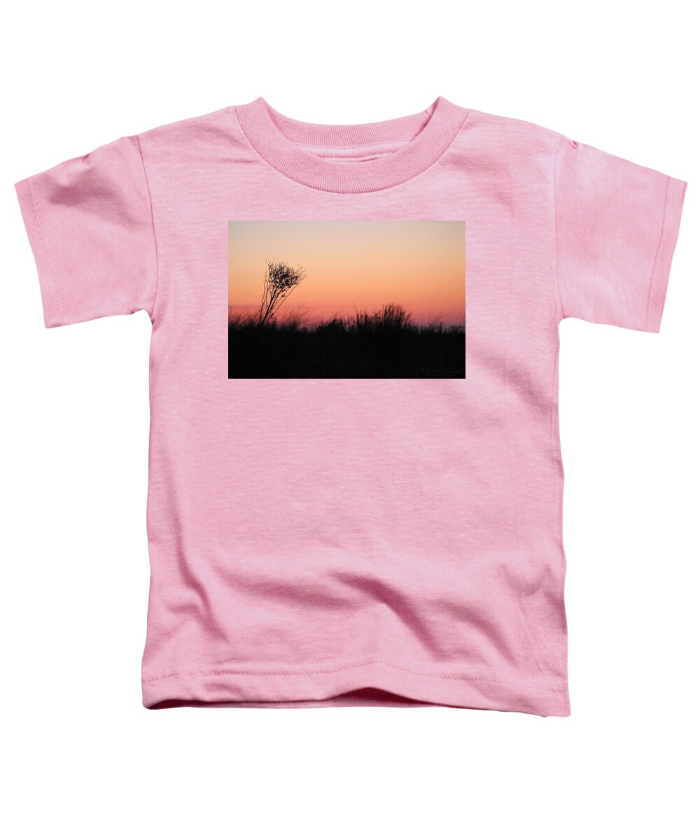 Sand Toddler T-Shirt featuring the photograph Dune Grass Sunrise by Robert Banach
