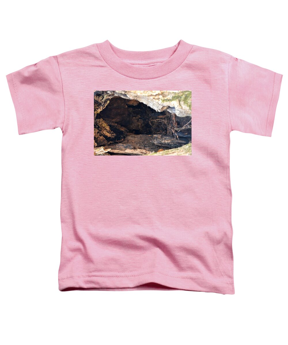 Earthen Abstract Toddler T-Shirt featuring the photograph Earthen Abstract by Maria Urso