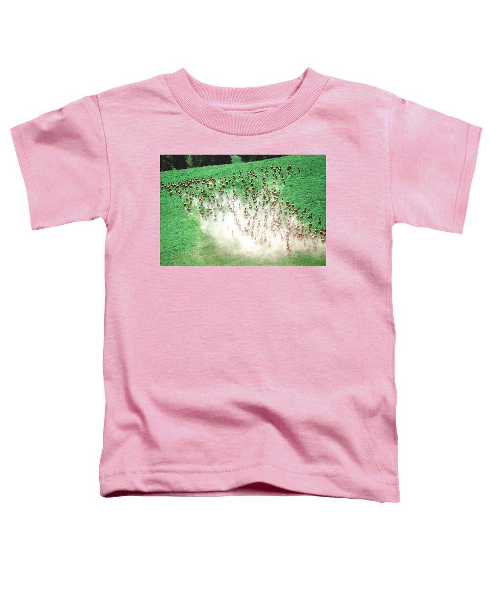 Elk Toddler T-Shirt featuring the photograph Elk Stampede by Ted Keller
