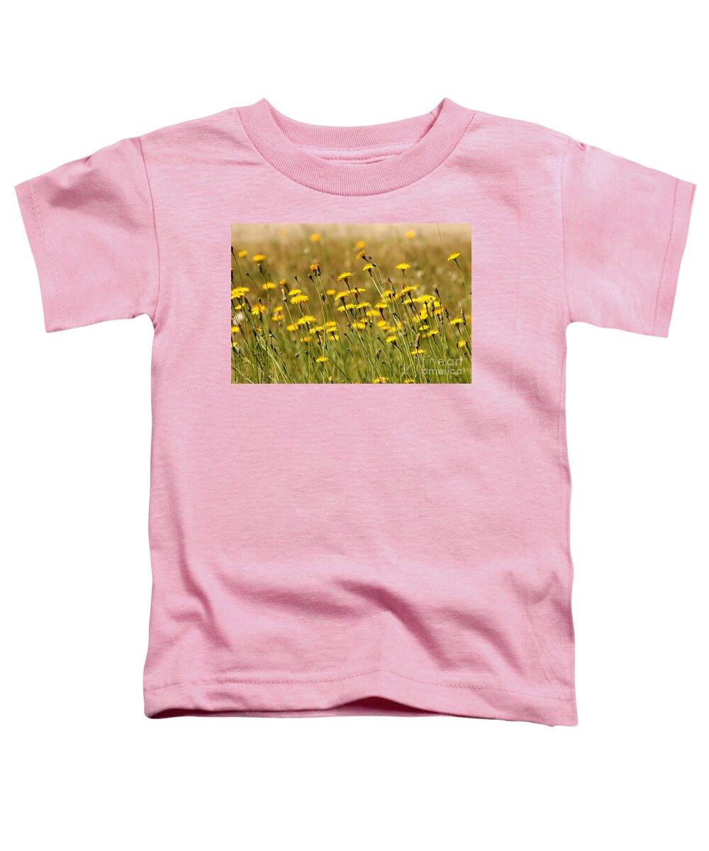 Dandelions Toddler T-Shirt featuring the photograph Field of Dandelions by Leone Lund