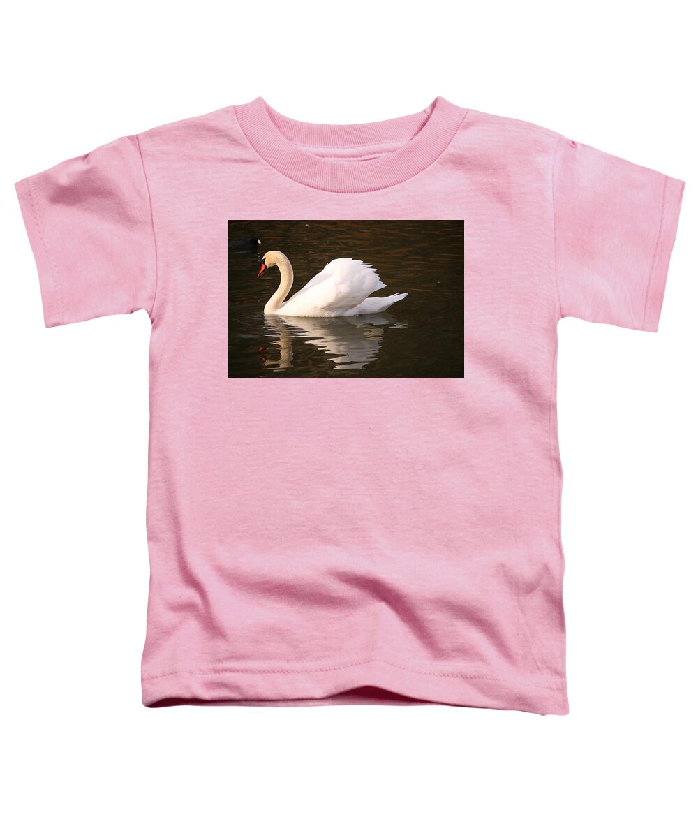 Mute Swan Toddler T-Shirt featuring the photograph Frank's Swan by Carol Montoya