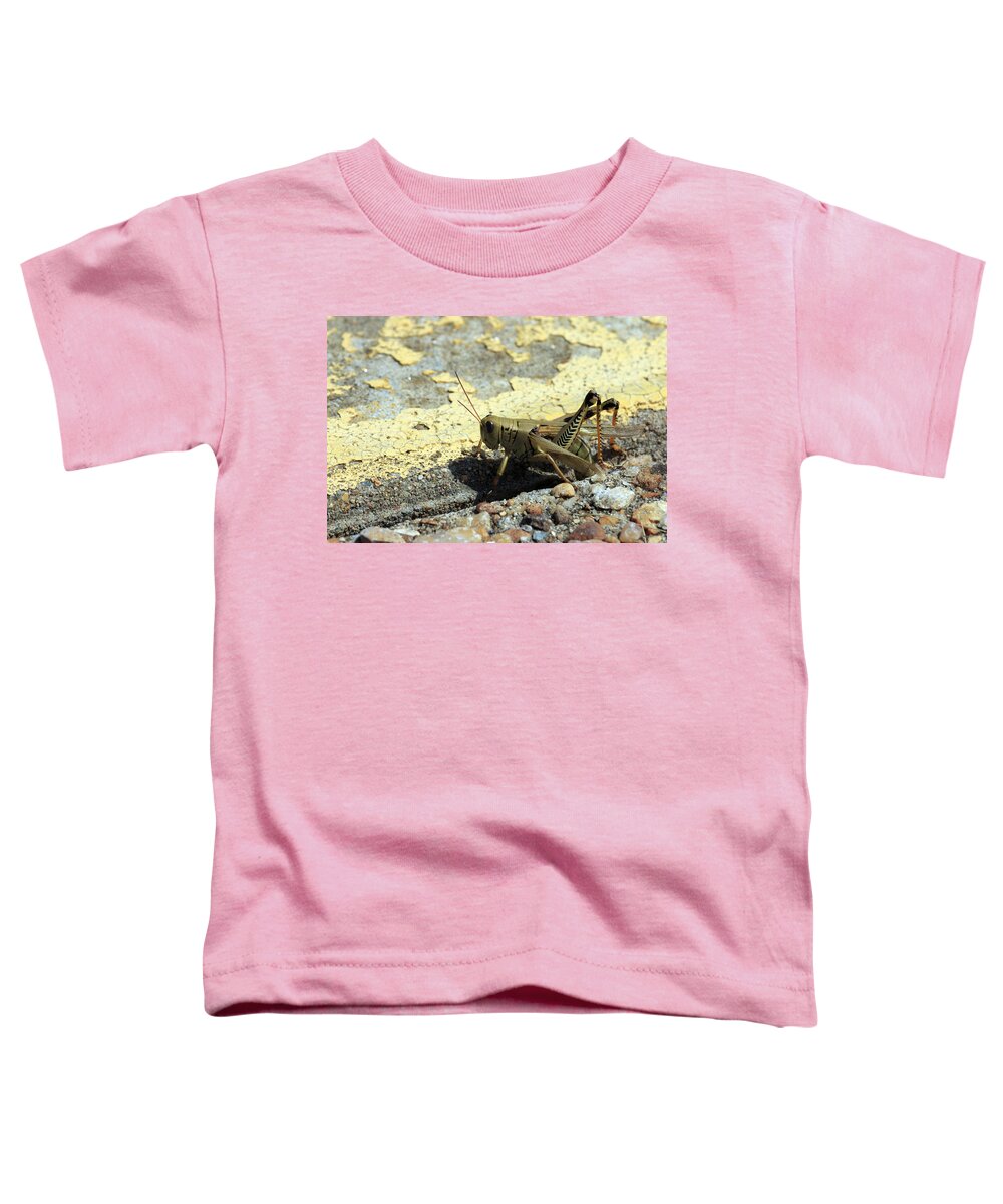 Grasshopper Toddler T-Shirt featuring the photograph Grasshopper Laying Eggs by Travis Rogers