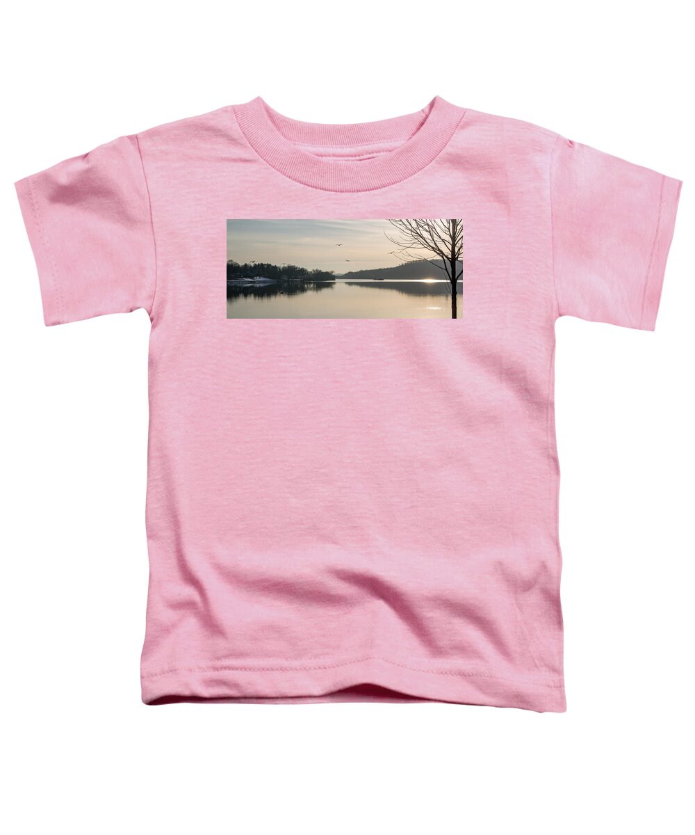 Gulls Toddler T-Shirt featuring the photograph Gulls Over the Ohio by Holden The Moment