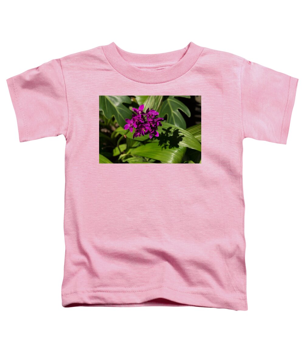 Hot Pink Toddler T-Shirt featuring the photograph Hot Pink Orchids - Exotic Tropical Shadows by Georgia Mizuleva