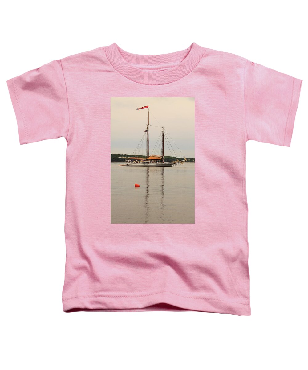 Seascape Toddler T-Shirt featuring the photograph iSAAC eVANS REFLECTIONS by Doug Mills