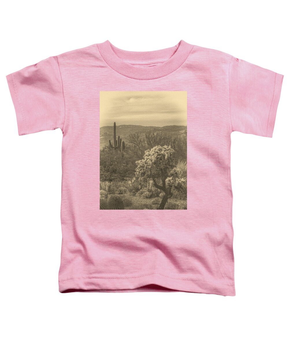 Teddy Bear Cholla Toddler T-Shirt featuring the photograph Last Light before Night ant by Theo O'Connor
