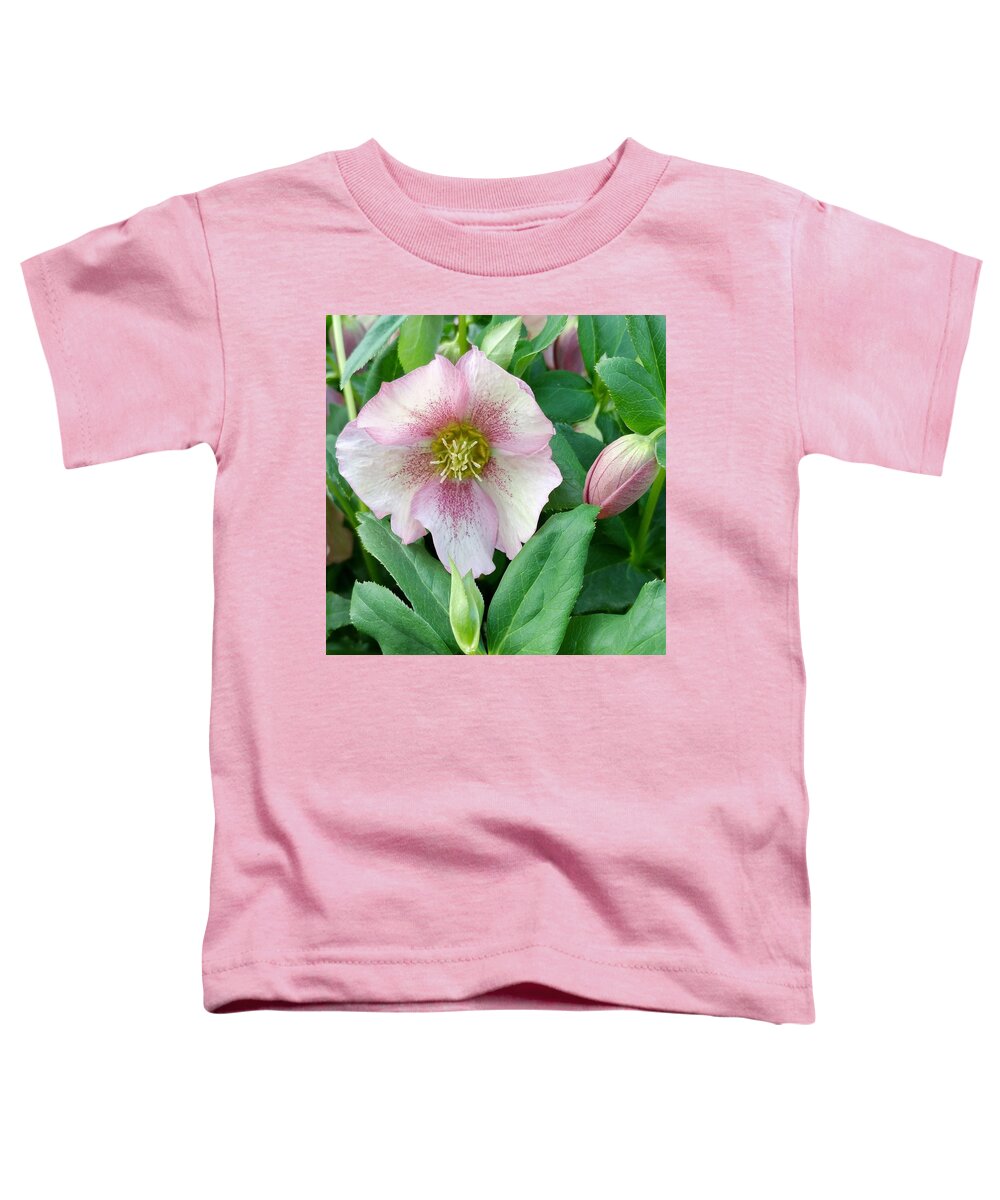 Rose Toddler T-Shirt featuring the photograph Lenten Rose by Kathy Barney