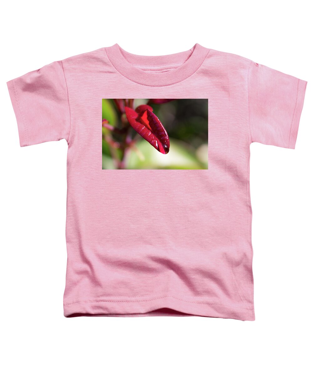 Red Leaf Toddler T-Shirt featuring the photograph Lick it Up by Alison Frank