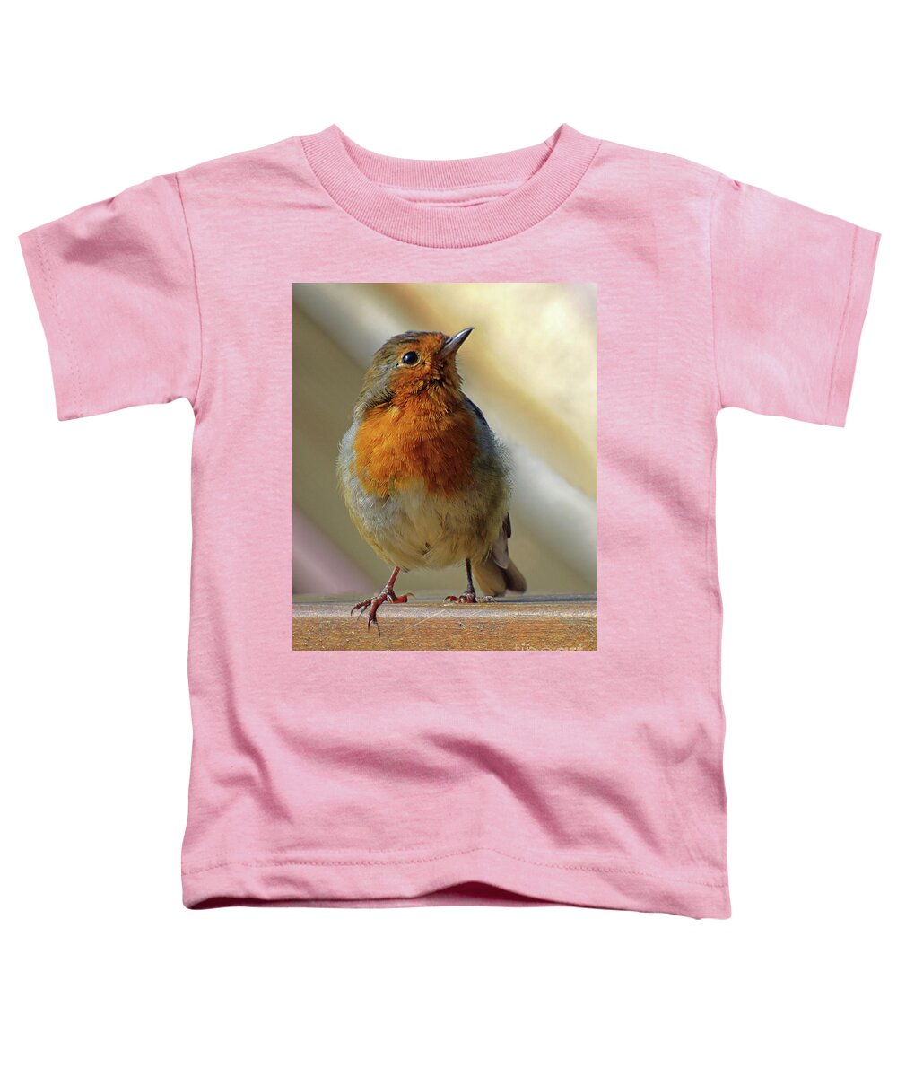 Robin Redbreast Toddler T-Shirt featuring the photograph Little Robin Redbreast by Lynn Bolt
