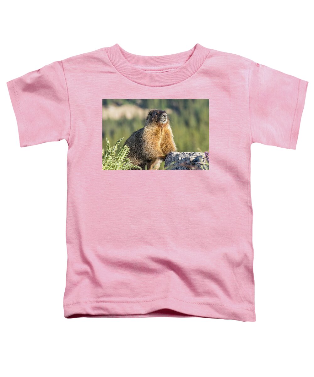 Marmot Toddler T-Shirt featuring the photograph Marmot with an Atitude by Tony Hake
