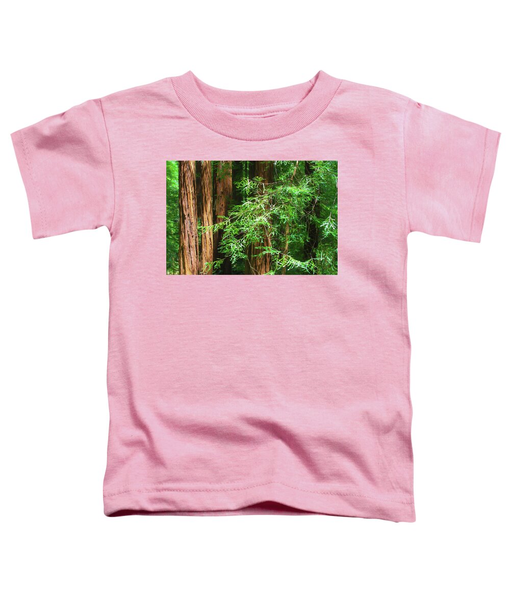 Muir Woods Afternoon Toddler T-Shirt featuring the photograph Muir Woods Afternoon by Bonnie Follett