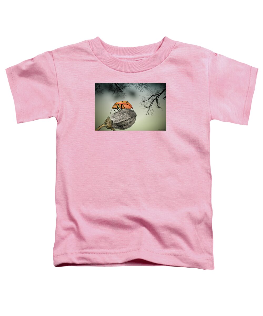 Stink Bug Toddler T-Shirt featuring the photograph Orange stink bug 001 by Kevin Chippindall