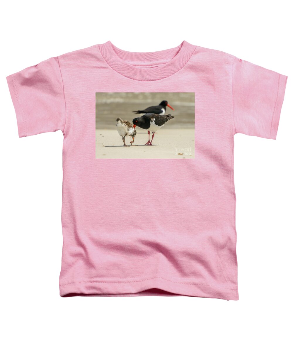 National Park Toddler T-Shirt featuring the photograph Oystercatcher 06 by Werner Padarin
