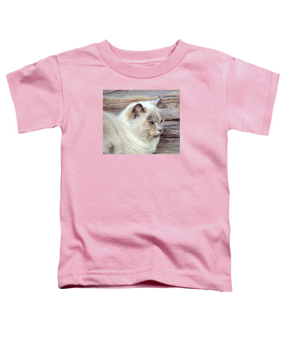 Adorable Toddler T-Shirt featuring the photograph Peaceful ragdoll cat by Elenarts - Elena Duvernay photo