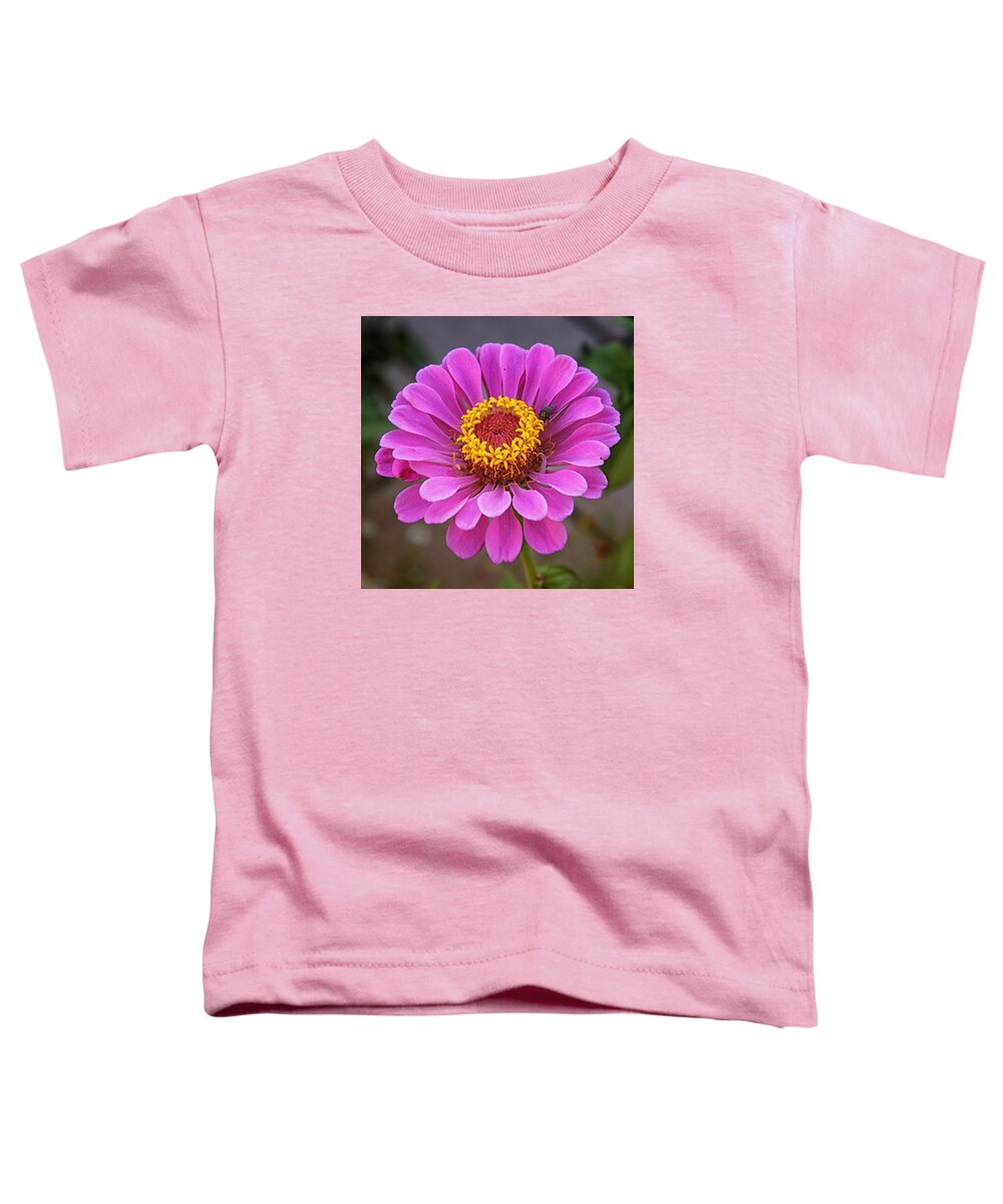 Flowers Toddler T-Shirt featuring the photograph Photo Bomb Fly by Elaine Malott