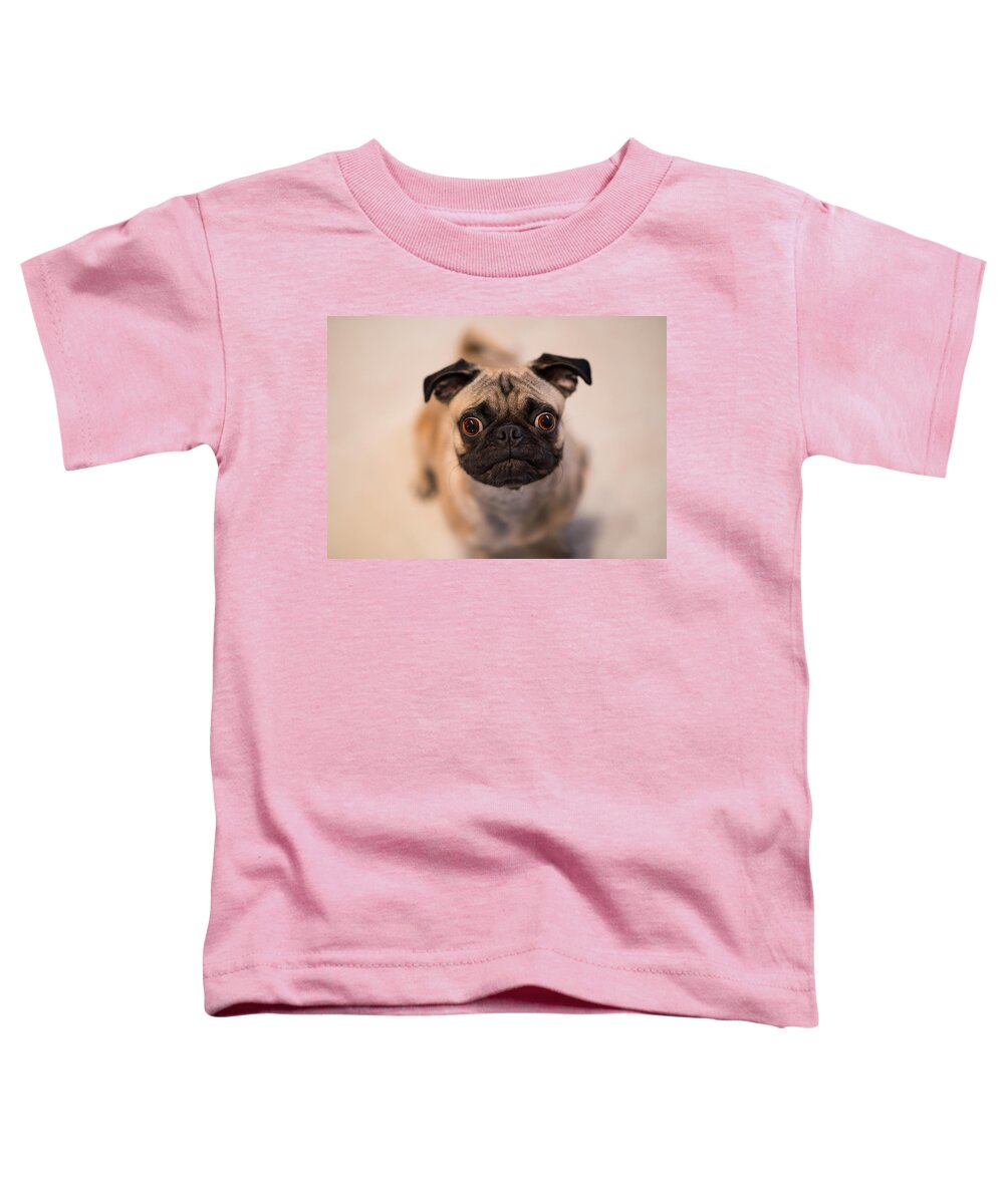 Pug Toddler T-Shirt featuring the photograph Pug Dog by Laura Fasulo