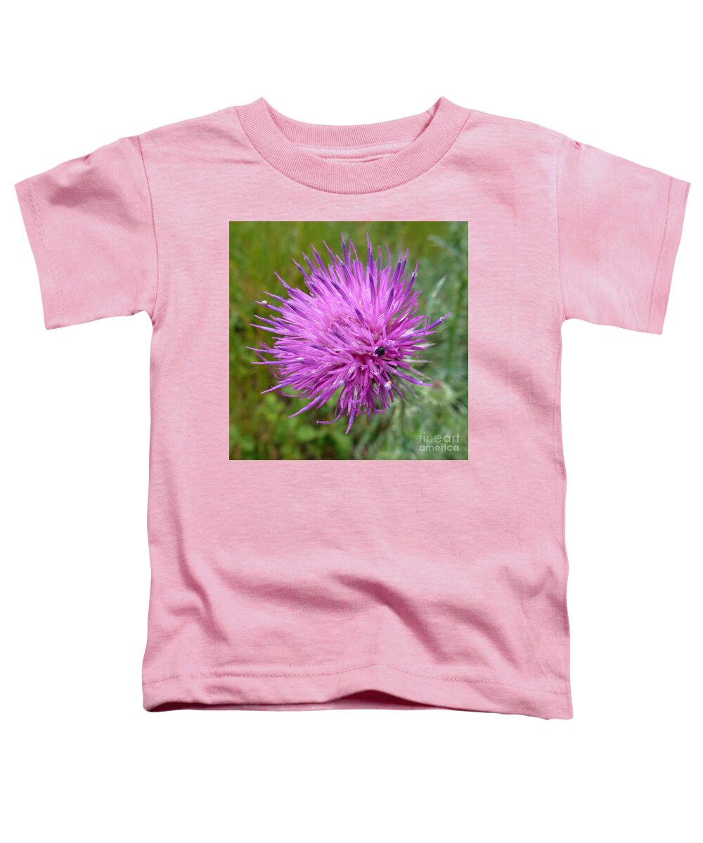 Beautiful Toddler T-Shirt featuring the photograph Purple Dandelions 2 by Jean Bernard Roussilhe