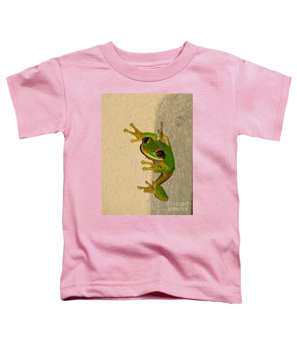 Costa Rica Frog Toddler T-Shirt featuring the photograph Rainforest Tree Frog by Alanna DPhoto