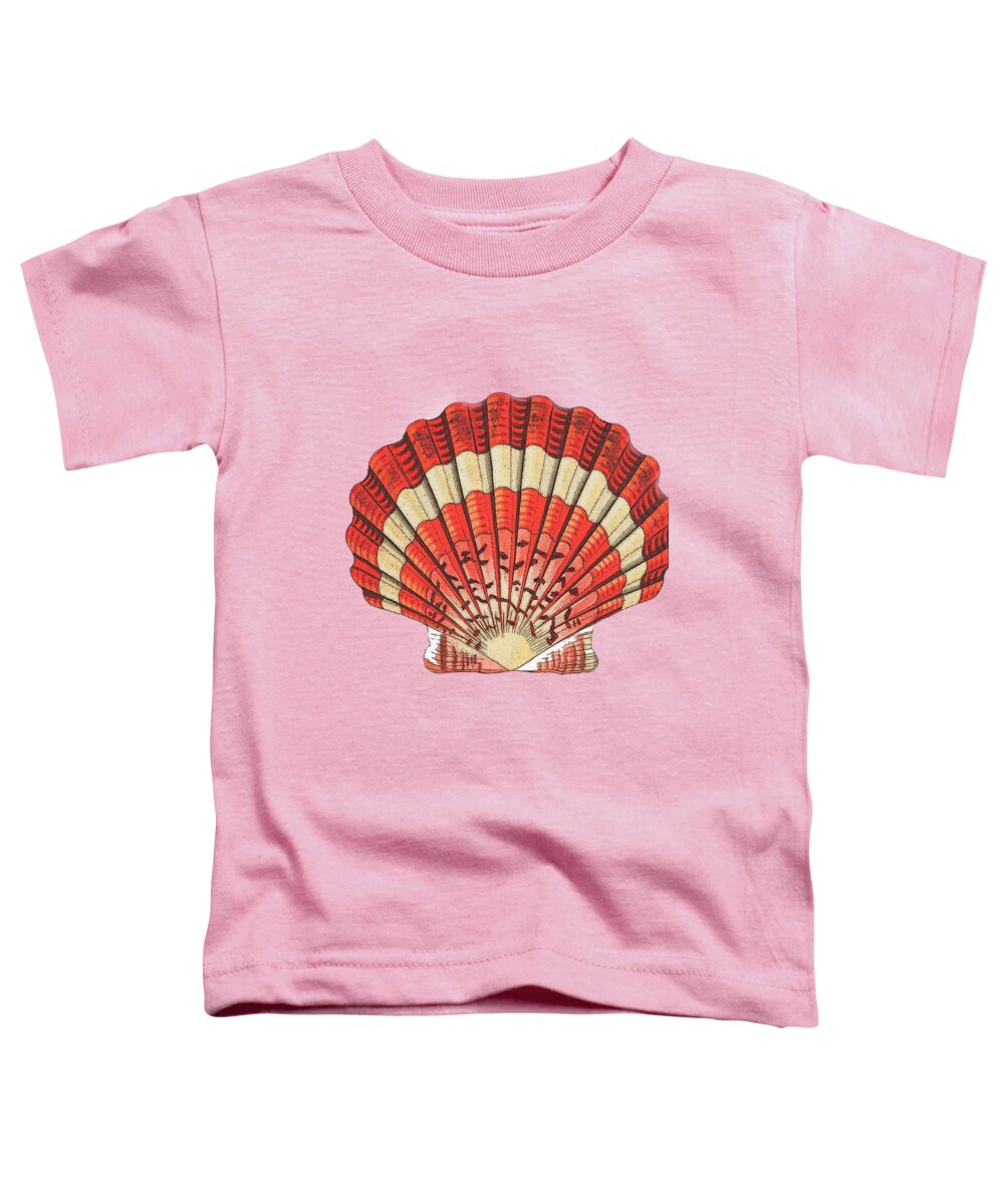 Art Toddler T-Shirt featuring the digital art Red and White Ocean Sea Shell Dictionary Book Page Art by Anna W