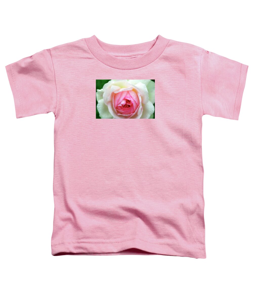 Jigsaw Puzzle Toddler T-Shirt featuring the photograph Renewal by Carole Gordon