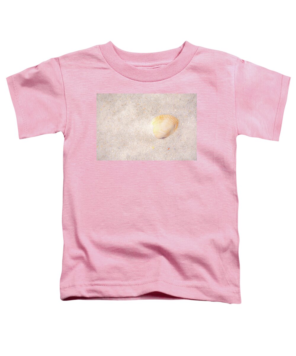 Shell Toddler T-Shirt featuring the photograph Seashell by Pamela Williams