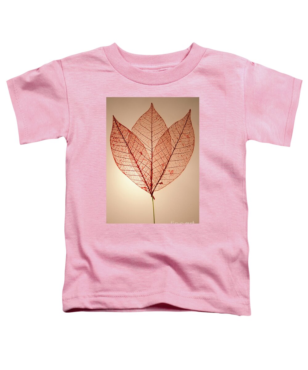 Leaves Toddler T-Shirt featuring the photograph Skeleton Leaves by Susan Cliett