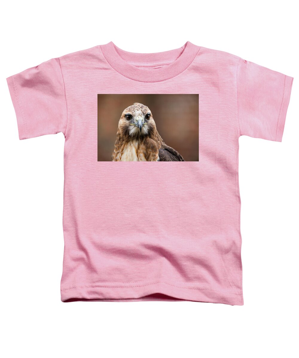 Animals Toddler T-Shirt featuring the photograph Smiling Bird of Prey by Dennis Dame