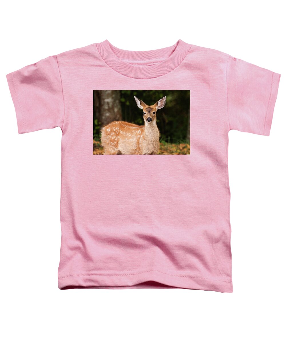 Fawn Toddler T-Shirt featuring the photograph Speckled Fawn by Peggy Collins