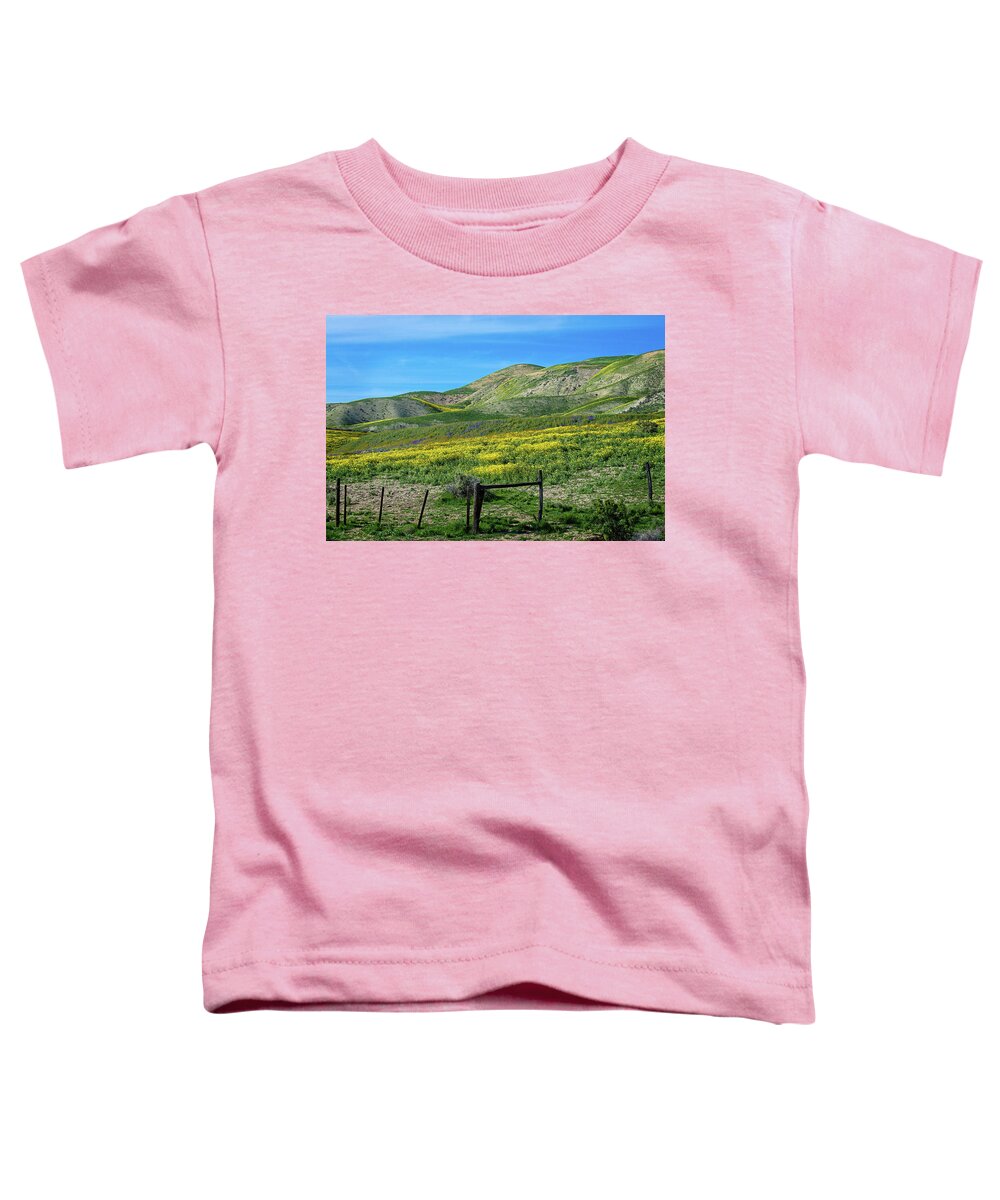 Temblor Range Toddler T-Shirt featuring the photograph Spring Wildflowers on the Carrizo Plain Superbloom 2017 by Lynn Bauer