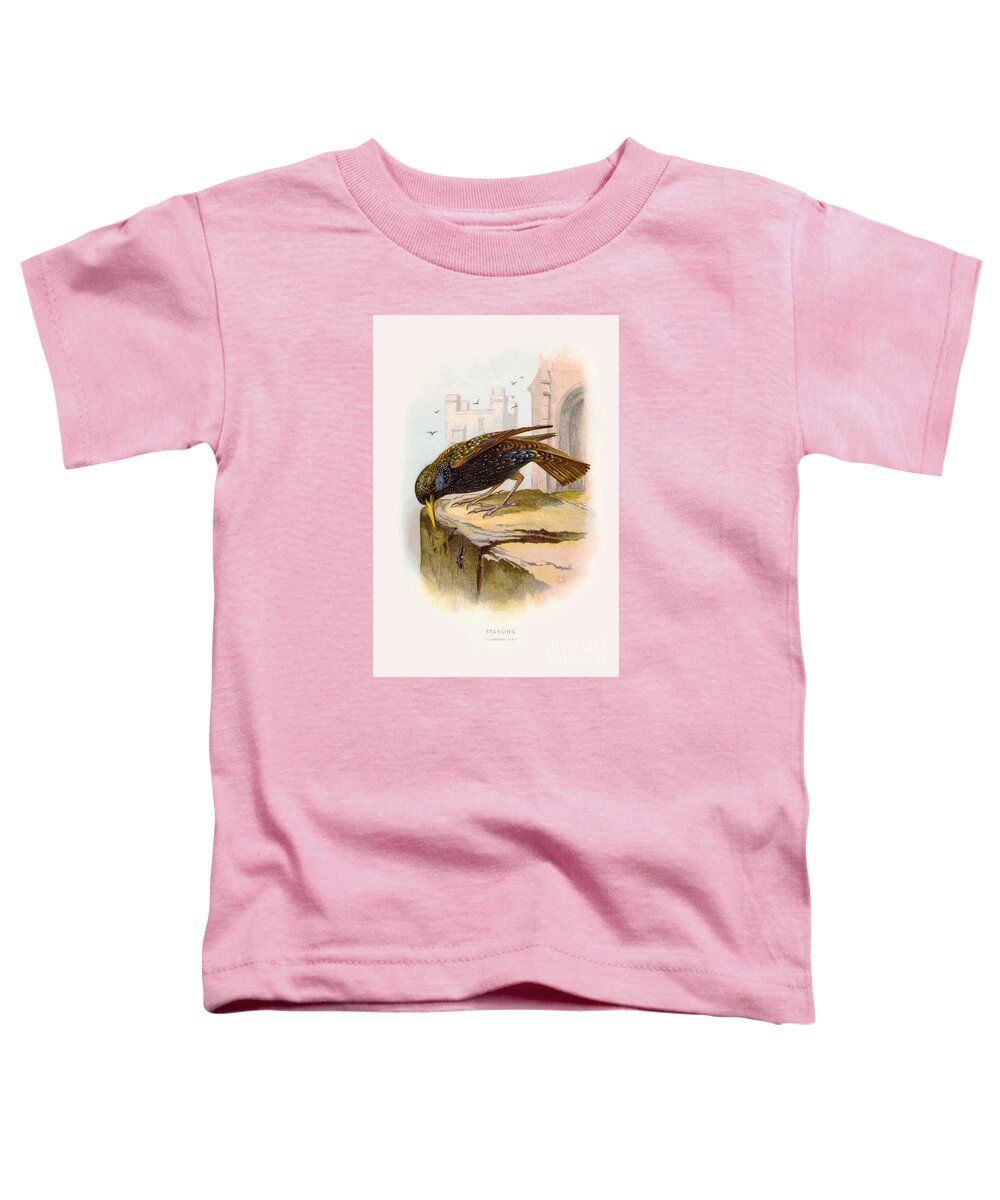 Vintage Toddler T-Shirt featuring the digital art Starling Restored by Pablo Avanzini