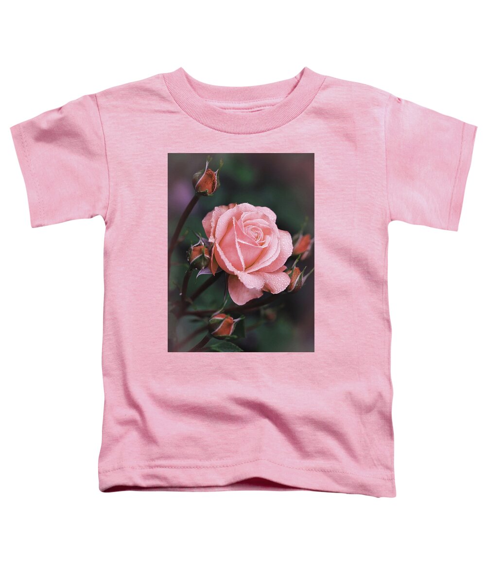 Rose Toddler T-Shirt featuring the photograph Thankful by Vanessa Thomas
