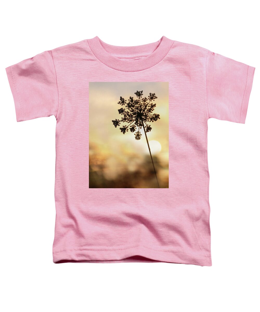 Flower Toddler T-Shirt featuring the photograph The Queen at Sunrise by Lori Deiter