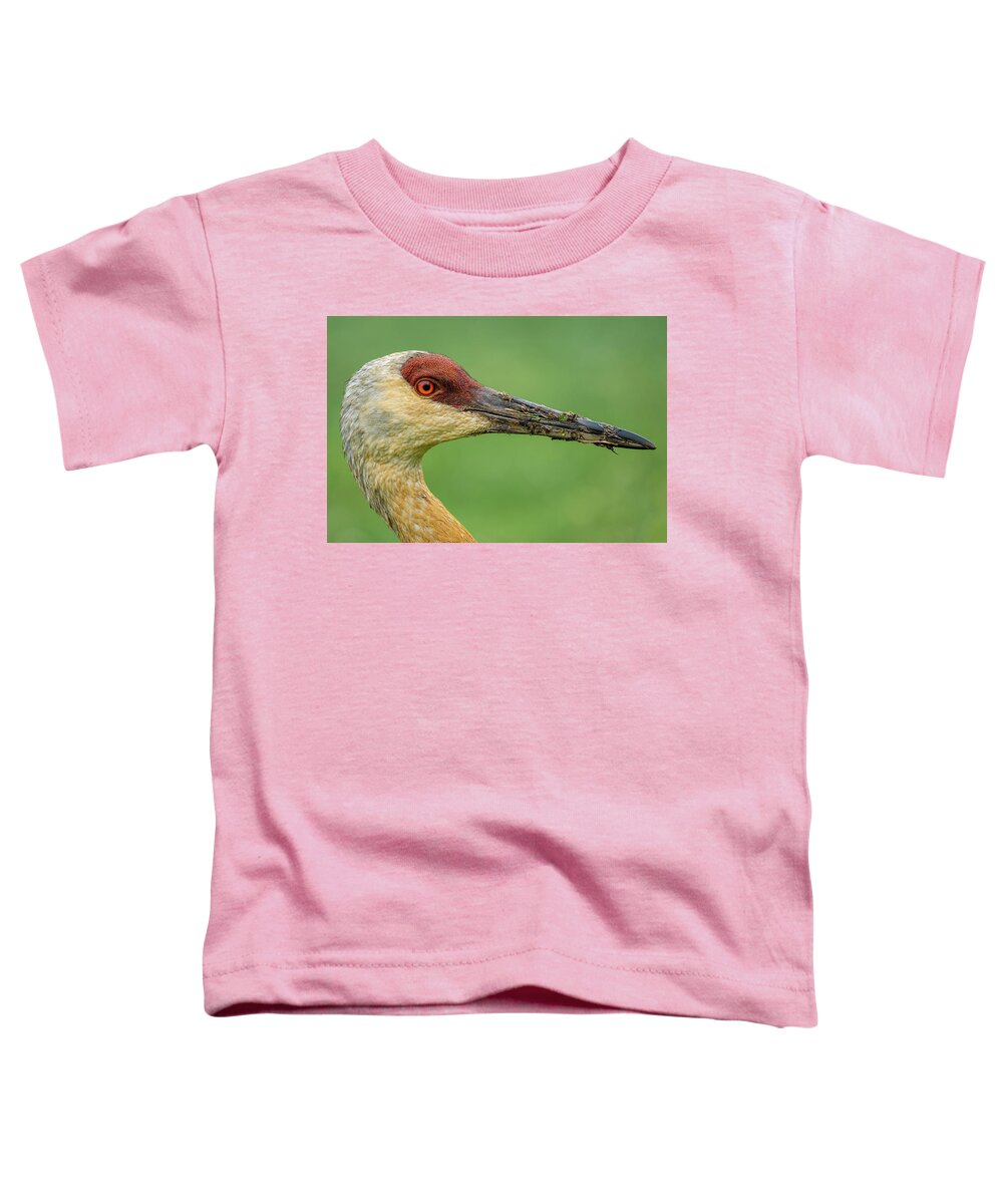 Eye Toddler T-Shirt featuring the photograph The Stare by Brad Bellisle