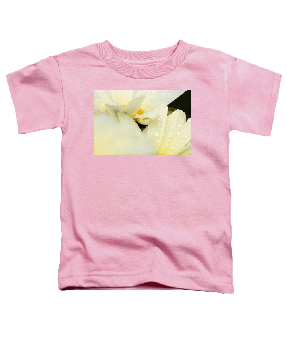 Daisy Toddler T-Shirt featuring the photograph Touching by Angela Rath