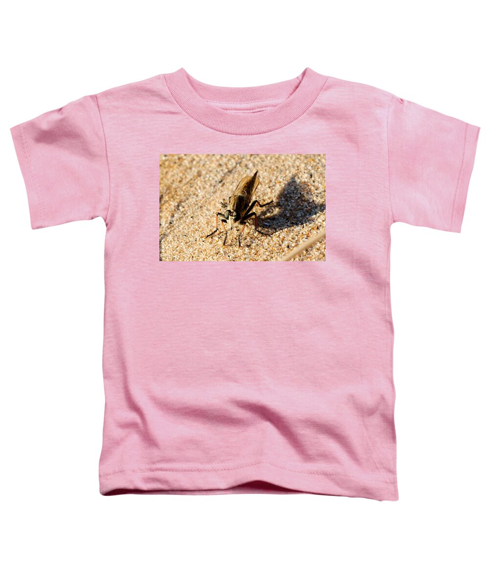 Robberfly Toddler T-Shirt featuring the photograph Waiting on a meal by James Smullins