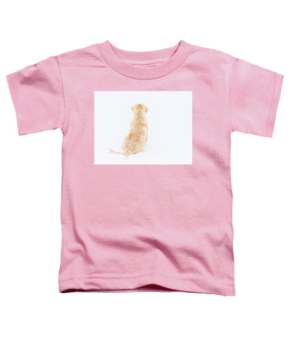 Puppy Toddler T-Shirt featuring the photograph What do you see? by Jennifer Grossnickle