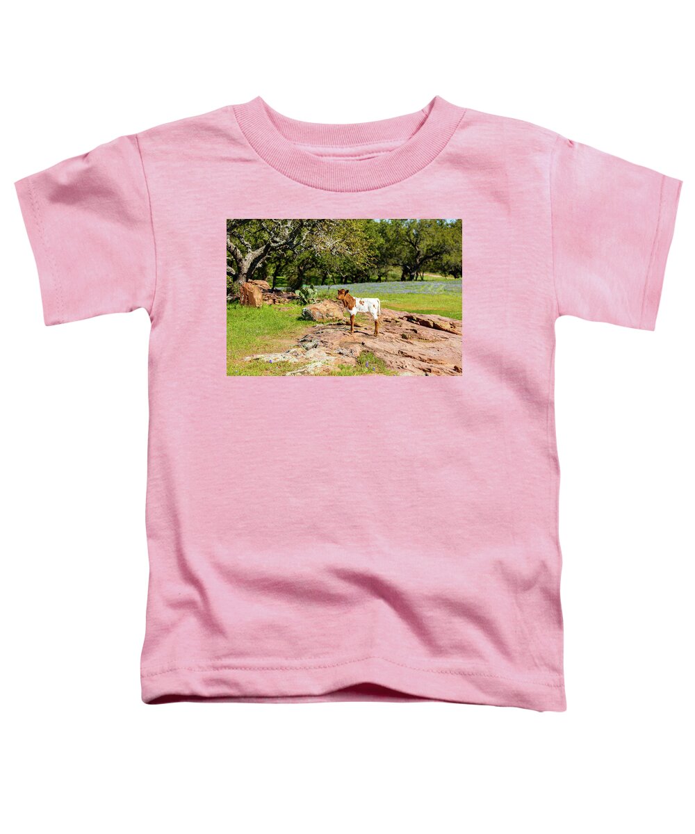 African Breed Toddler T-Shirt featuring the photograph Where's My Mother? by Raul Rodriguez