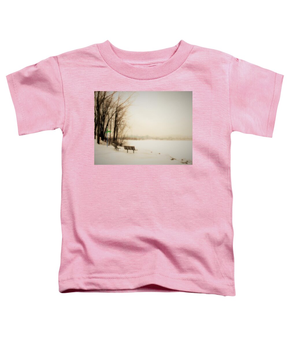 Winter Toddler T-Shirt featuring the photograph Winter View over Montreal by Cristina Stefan