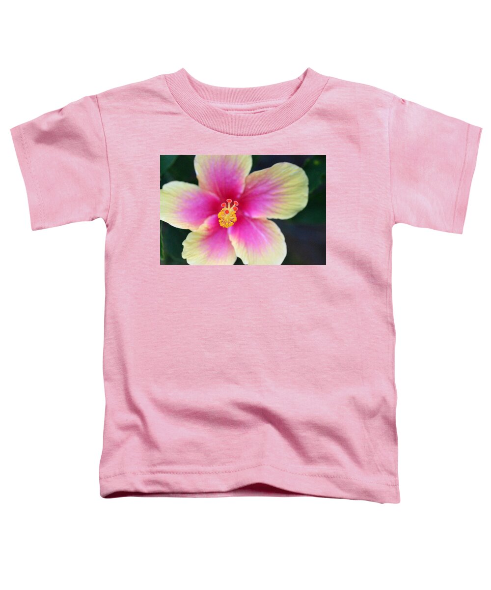 Flower Toddler T-Shirt featuring the photograph Yellow and Pink Hibiscus 2 by Amy Fose