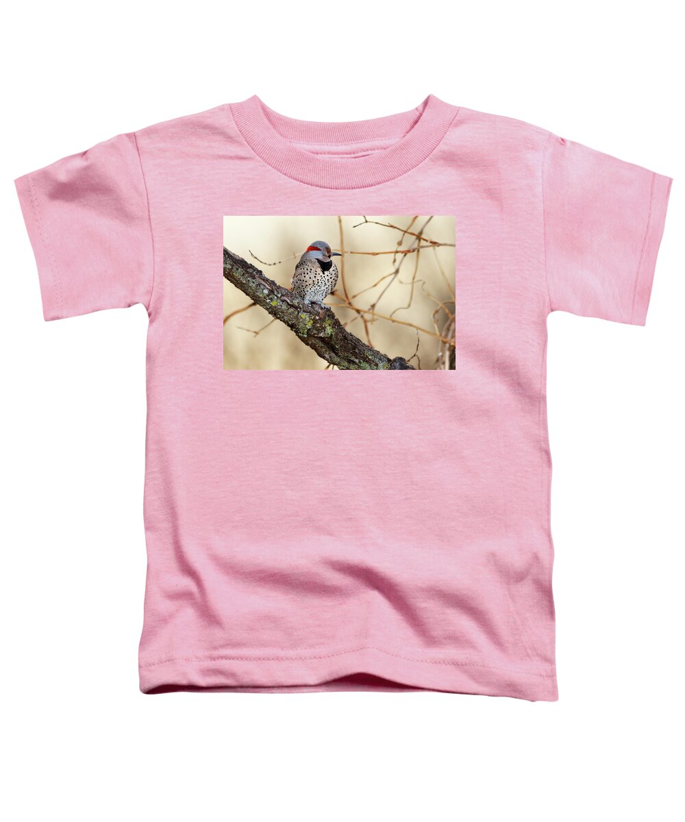 Northern Flicker Toddler T-Shirt featuring the photograph Yellow-shafted Northern Flicker by Betty LaRue
