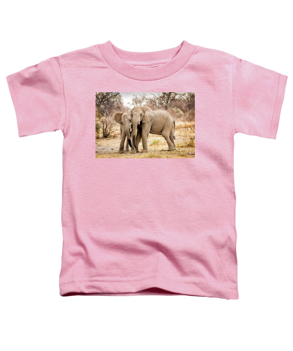  S Africa Toddler T-Shirt featuring the photograph Arguing Elephants by Timothy Hacker