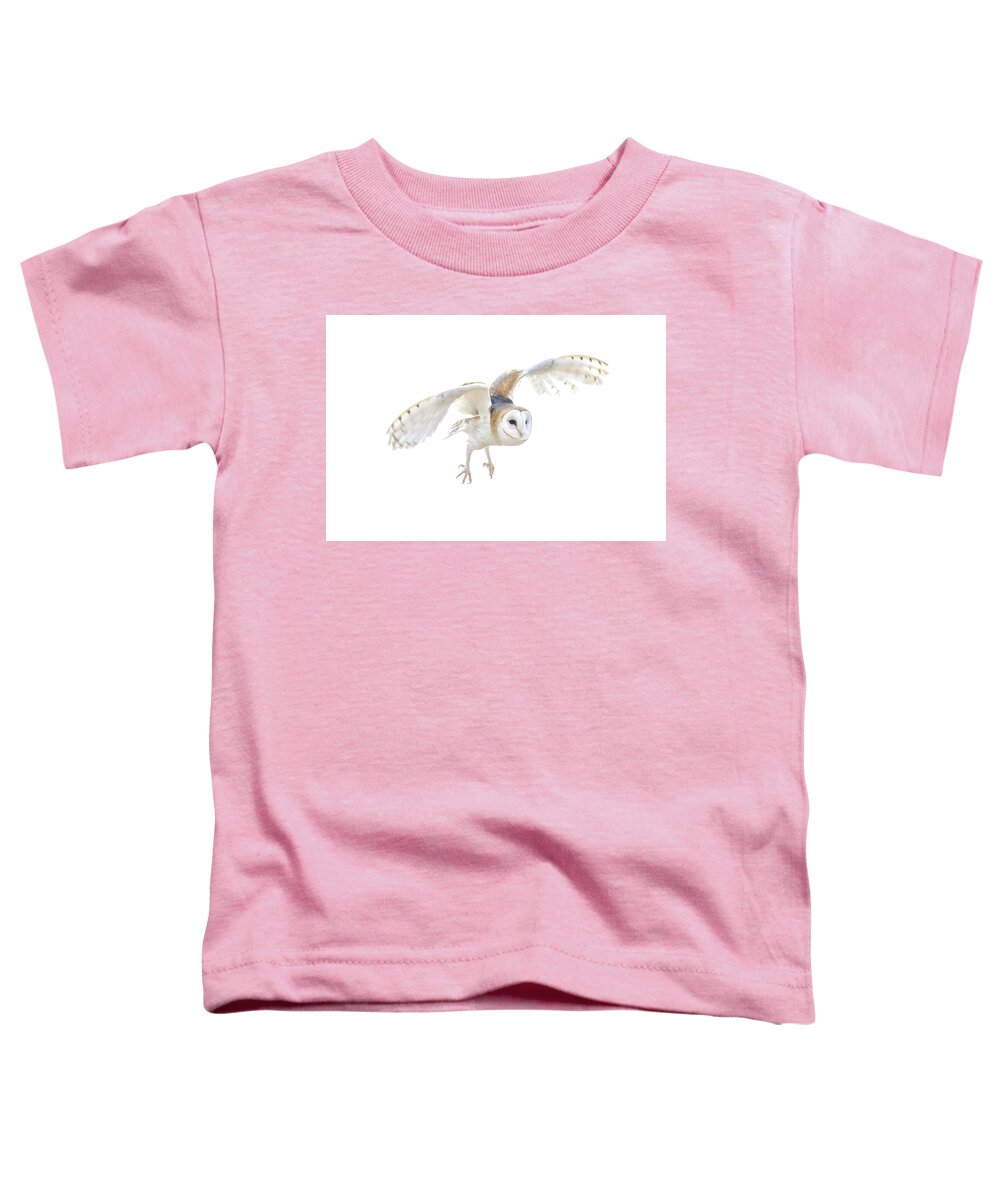 7932 Toddler T-Shirt featuring the photograph Barn Owl in Flight by Tom and Pat Cory