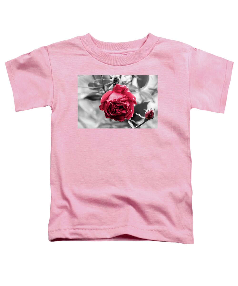 Photo Toddler T-Shirt featuring the photograph Beautiful Red Rose by Jason Hughes