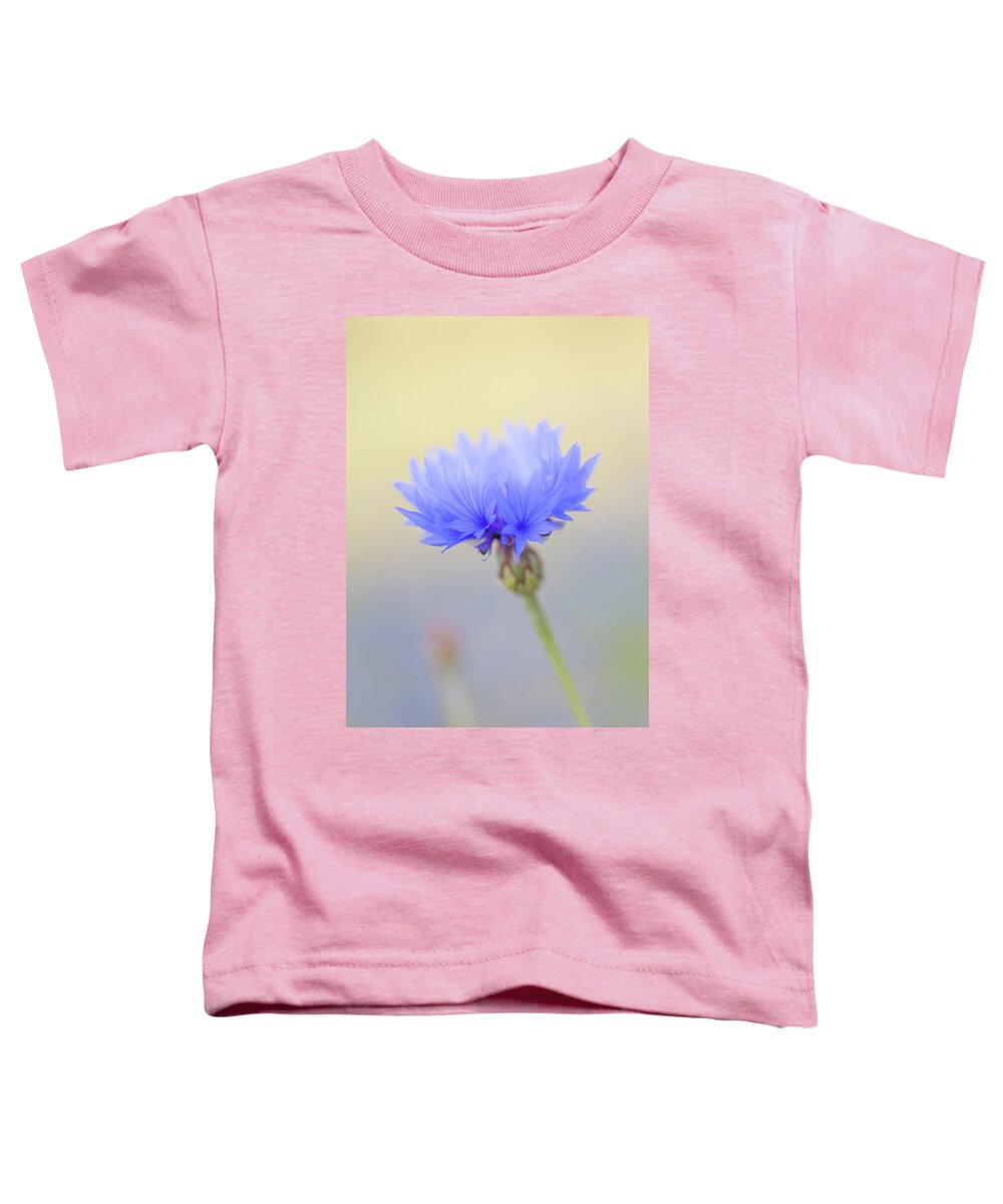 Flower Toddler T-Shirt featuring the photograph Bright Blue Cornflower by Anita Nicholson